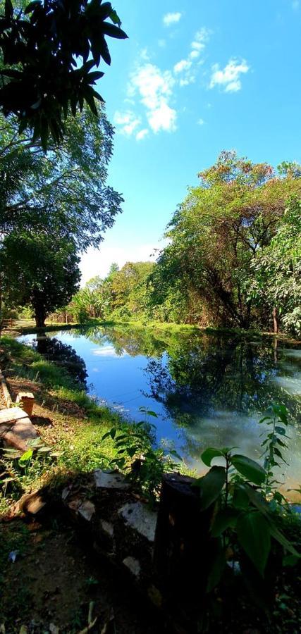 Chacara Bica Dagua Villa Pirenópolis Kültér fotó